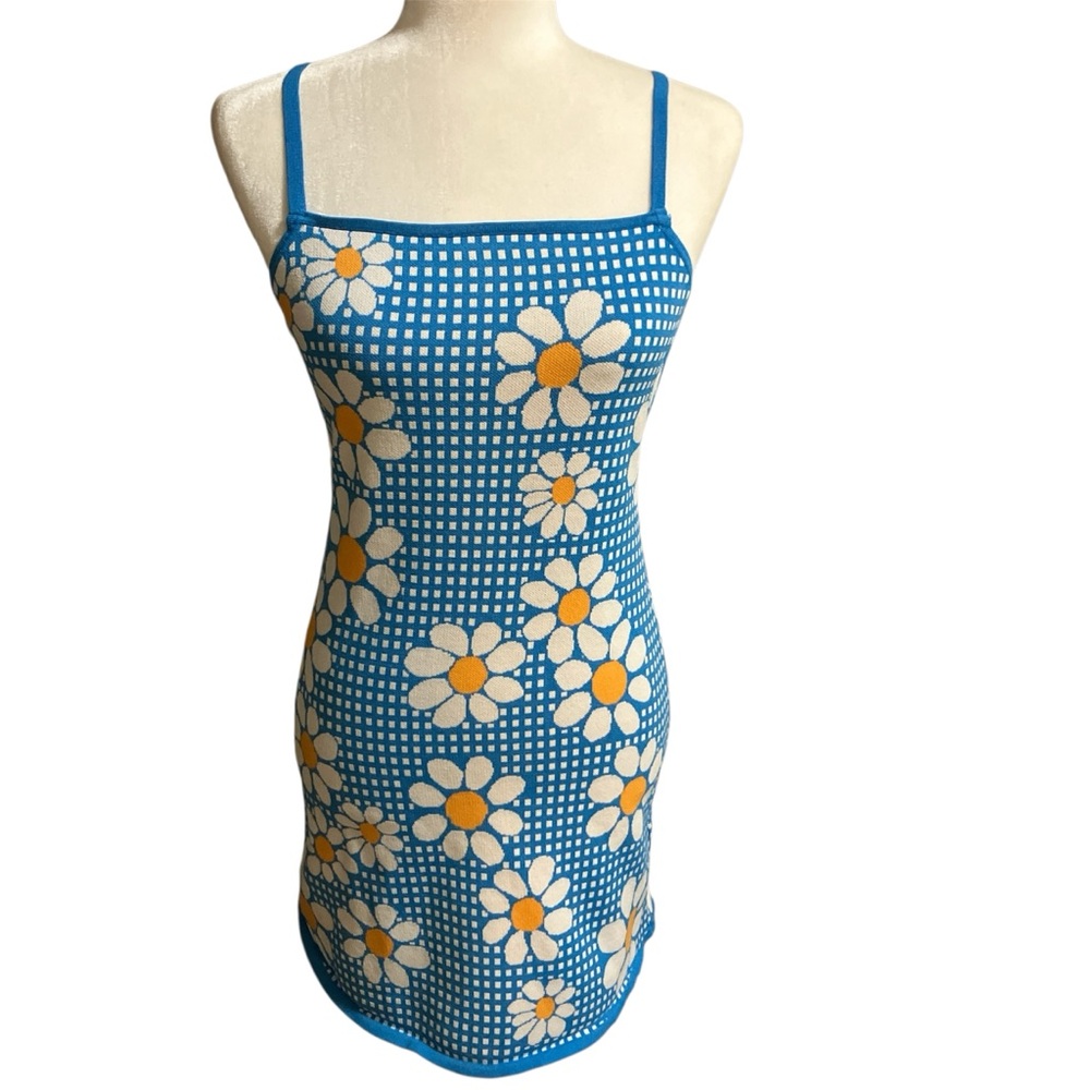 Zara Blue and White Checkered Daisy Dress